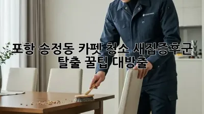 포항 송정동 카펫 청소, 새집증후군 탈출?! ✨꿀팁 대방출✨